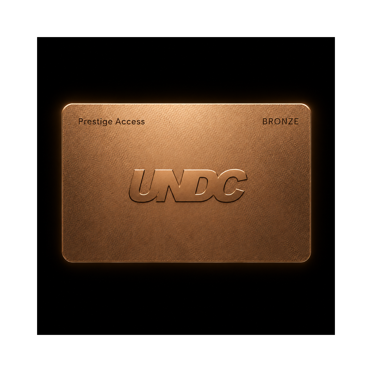 UNDC Prestige Access